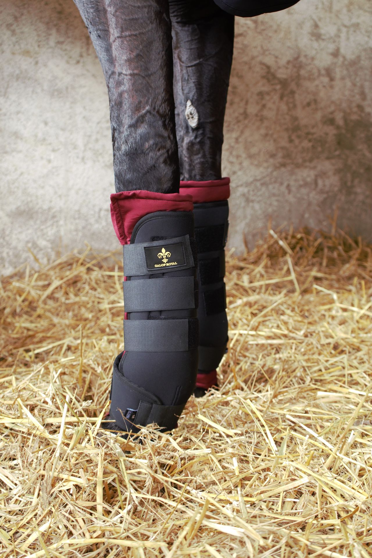 Guêtres de Repos Galop Royal - pose sur le membre