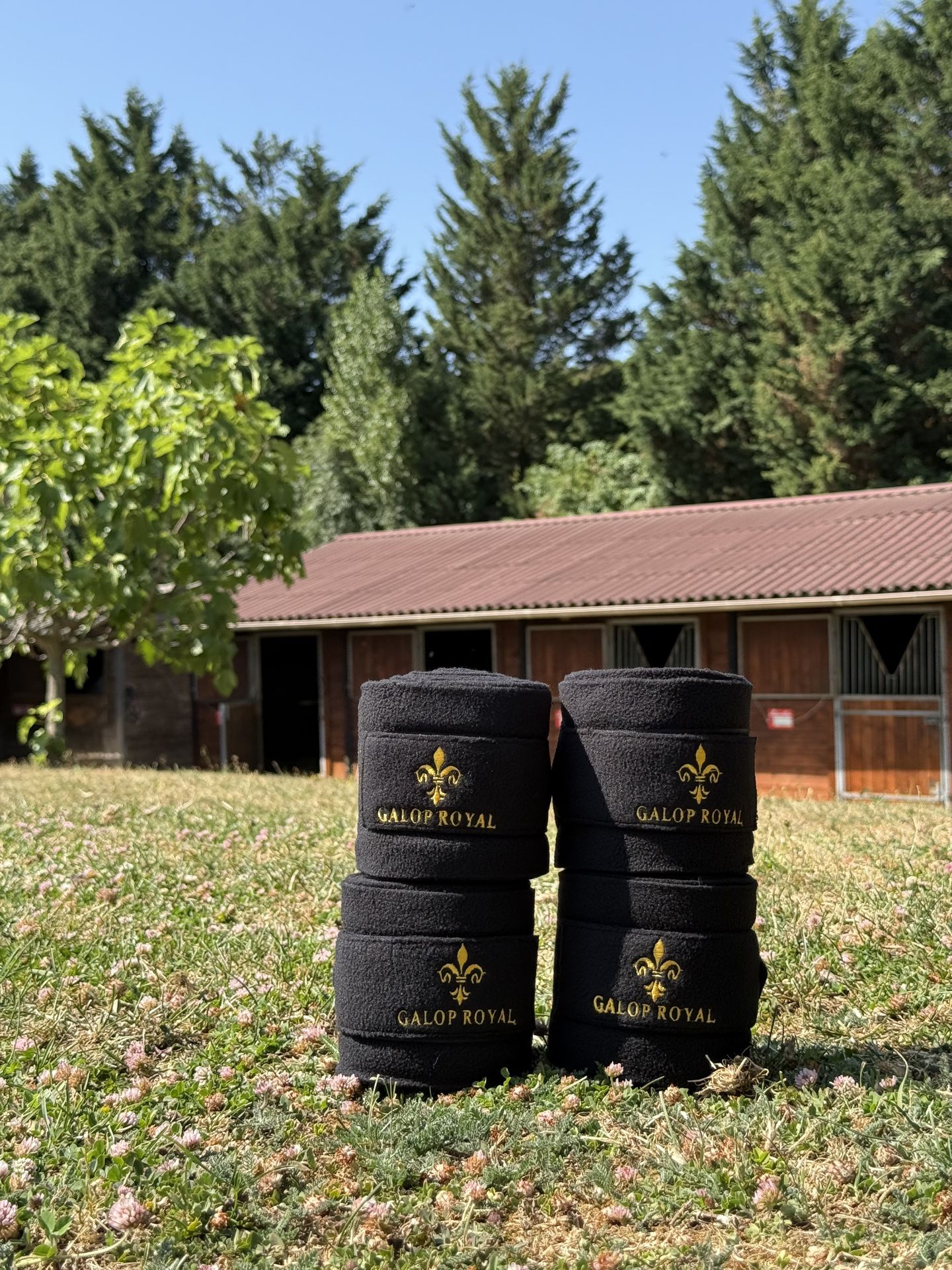 Bandes de Repos Galop Royal - paire de rouleaux dans l'herbe