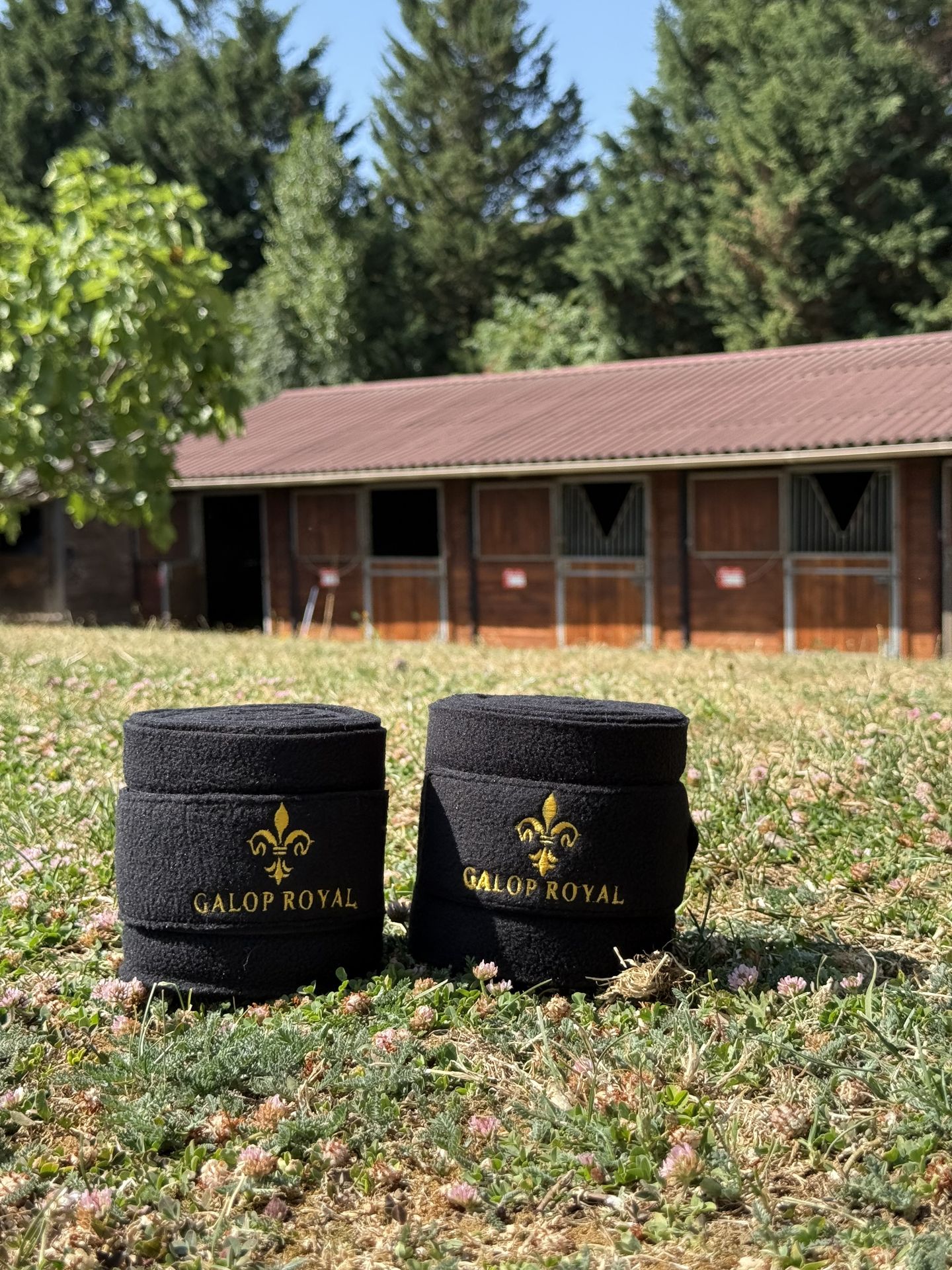 Bandes de Repos Galop Royal - rouleaux posés dans l'herbe