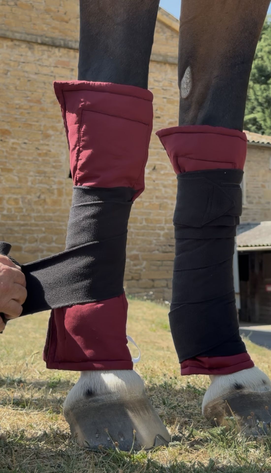 Bandes de Repos Galop Royal - pose sur les membres, détail