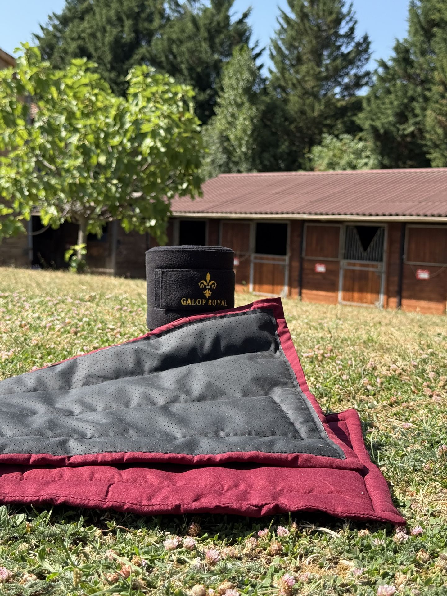 Sous-Bandages Galop Royal - rouleau sur tapis de selle